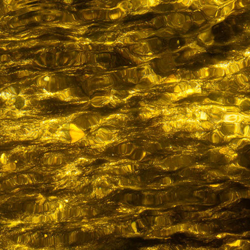 Photo by Flickr user Tony Walmsley - Creative Commons Copyright