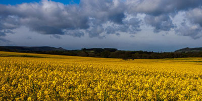 Photo by Flickr user Archangle12 - Creative Commons Copyright