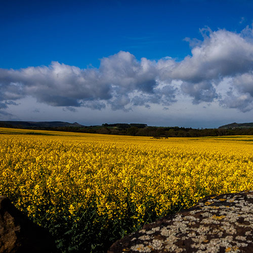 Photo by Flickr user Archangle12 - Creative Commons Copyright