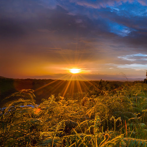 Photo by Flickr user jojo nicdau - Creative Commons Copyright