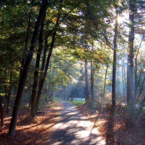 Photo by Flickr user Alias0591- Creative Commons Copyright