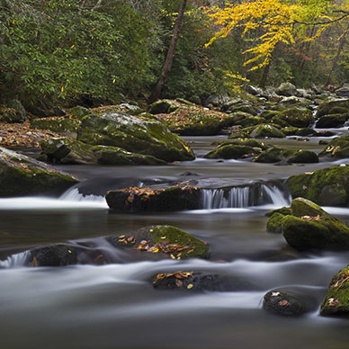 Photo by ColonelJohnBritt - Flickr Creative Commons Copyright