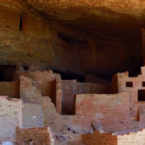 Jozef Dominguez New Mexico